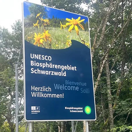 Haus Am Waldrand Dom wakacyjny Todtmoos