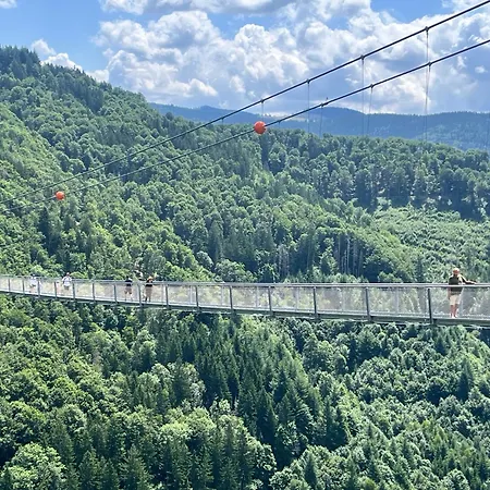 Hébergement de vacances Haus Am Waldrand Todtmoos