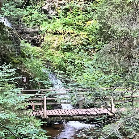 Haus Am Waldrand * 토트무스