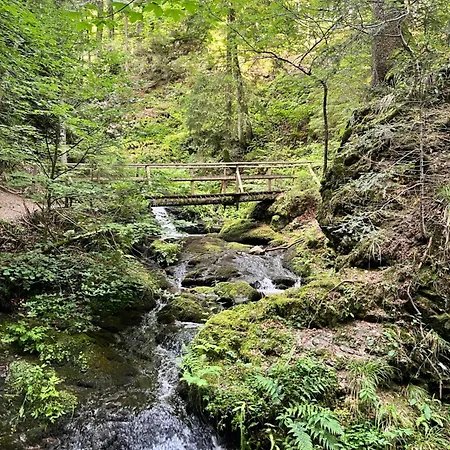 Haus Am Waldrand Todtmoos