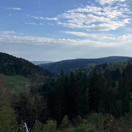 Semesterbostad Haus Am Waldrand Todtmoos