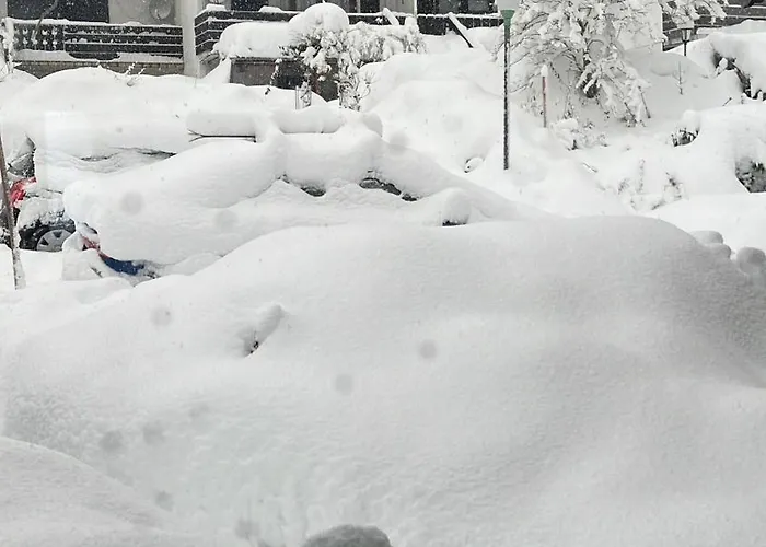 Vakantiehuis Haus Am Waldrand