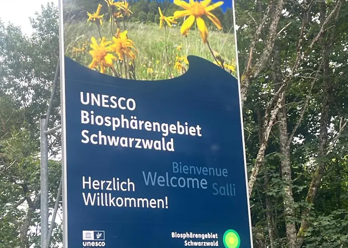 Haus Am Waldrand Hébergement de vacances Todtmoos