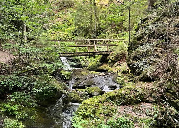 Haus Am Waldrand Todtmoos